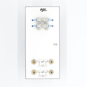 P31 Snelheidsregelventiel